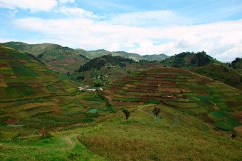 What is the vital data infrastructure for agriculture?