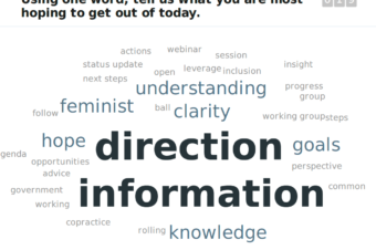 Consultation on Feminist Open Government Research: What We Heard
