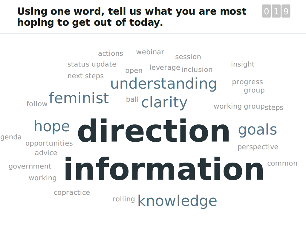 Consultation on Feminist Open Government Research: What We Heard